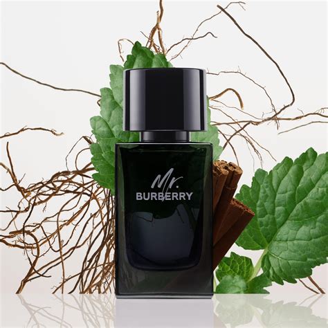 burberry marionnaud|BURBERRY MR. BURBERRY Eau de Parfum .